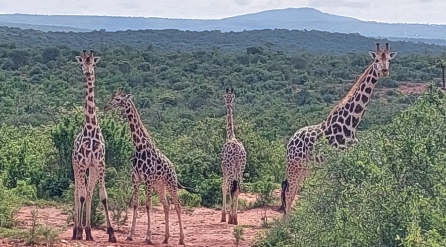 MWEA NATIONAL RESERVE