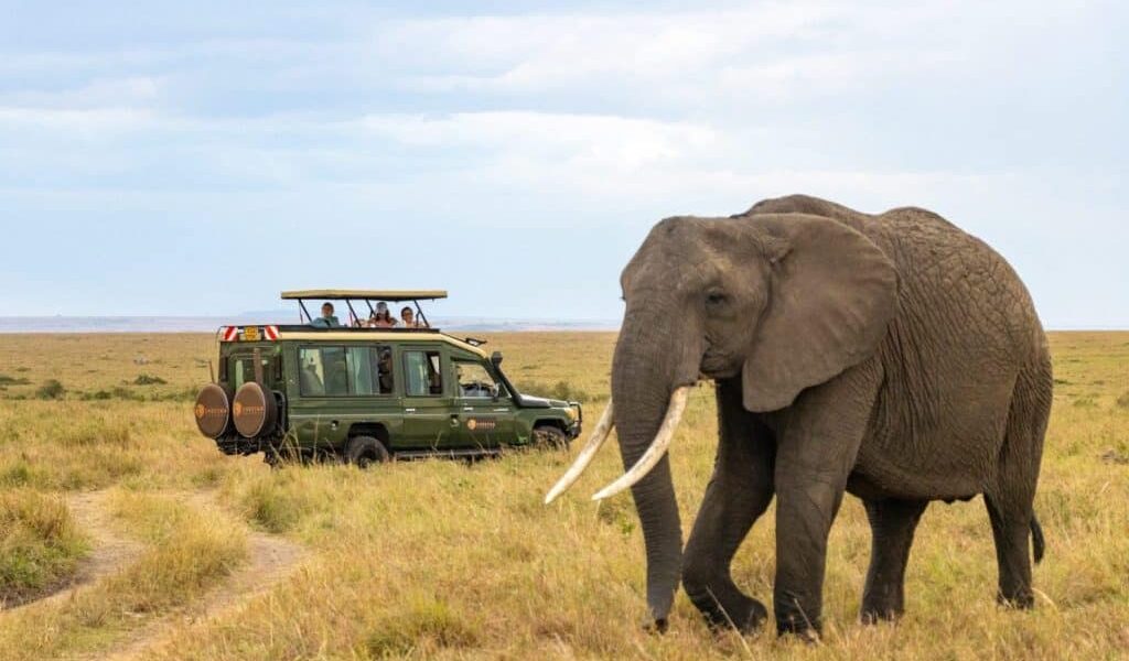 Mwingi Game Reserve – Remote Wilderness & Adventure Safari in Kenya