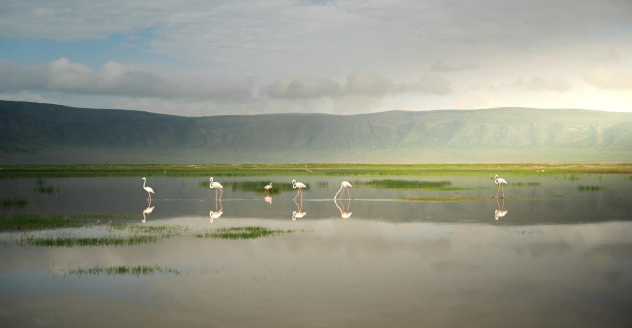 Ngorongoro Crater Tanzania