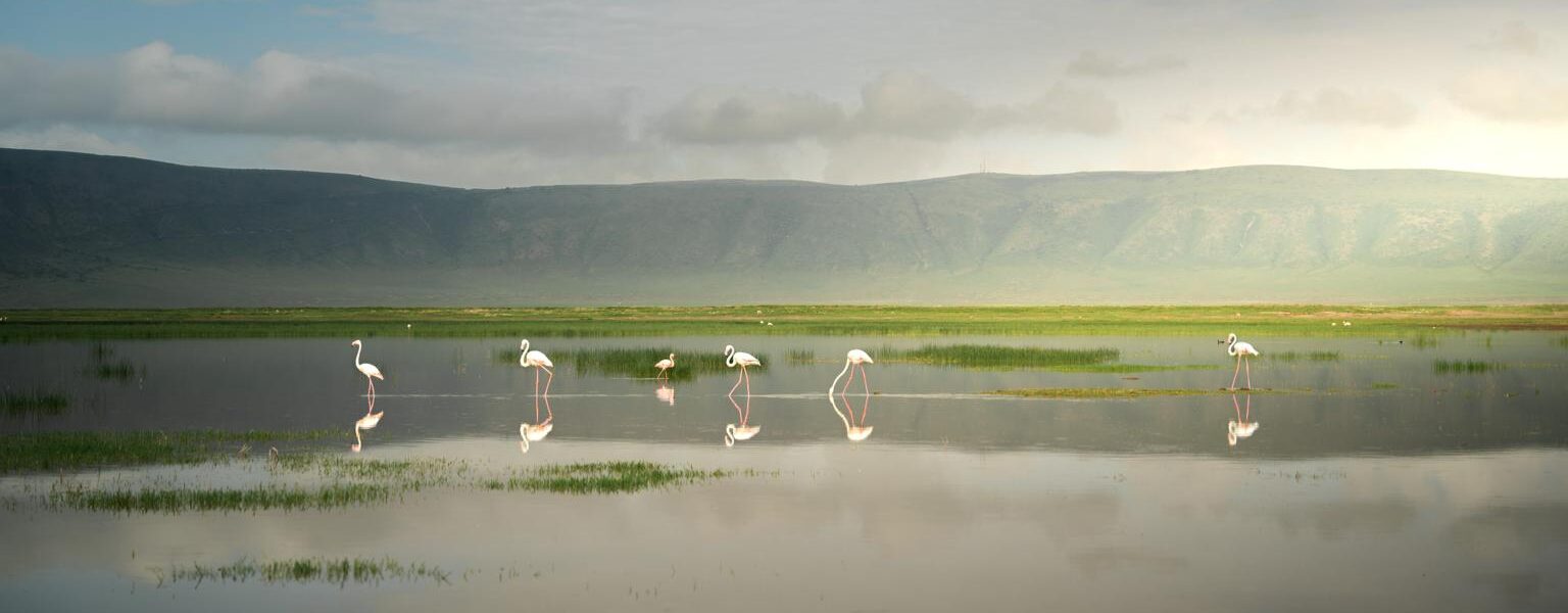Ngorongoro Crater Tanzania 1 Ngorongoro Crater Tanzania