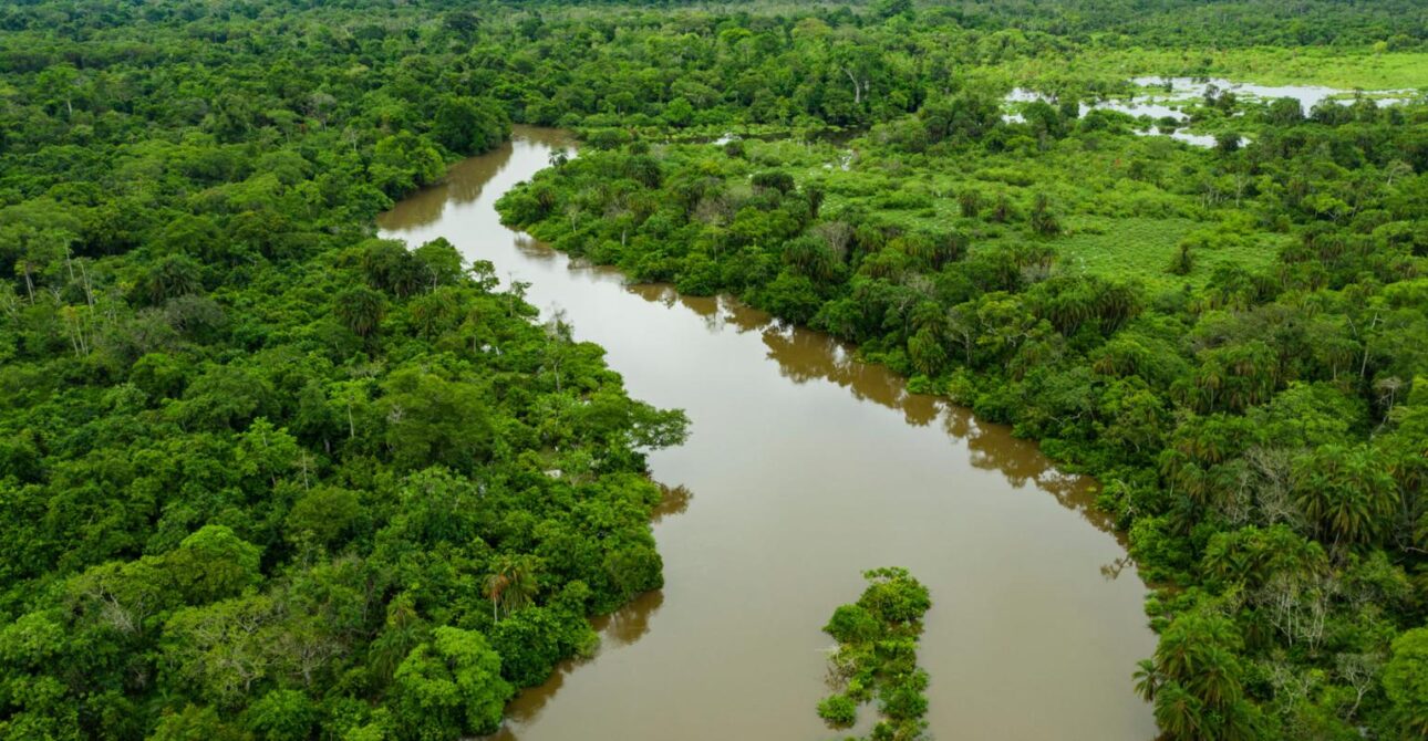 Republic of Congo Brazzaville Gorilla Trekking & Congo Basin Wilderness