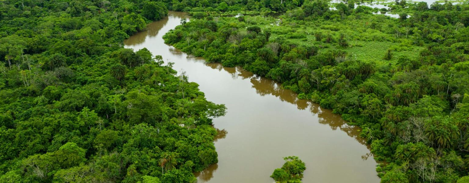 Republic of Congo Brazzaville Gorilla Trekking