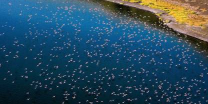 SOUTH ISLAND NATIONAL PARK