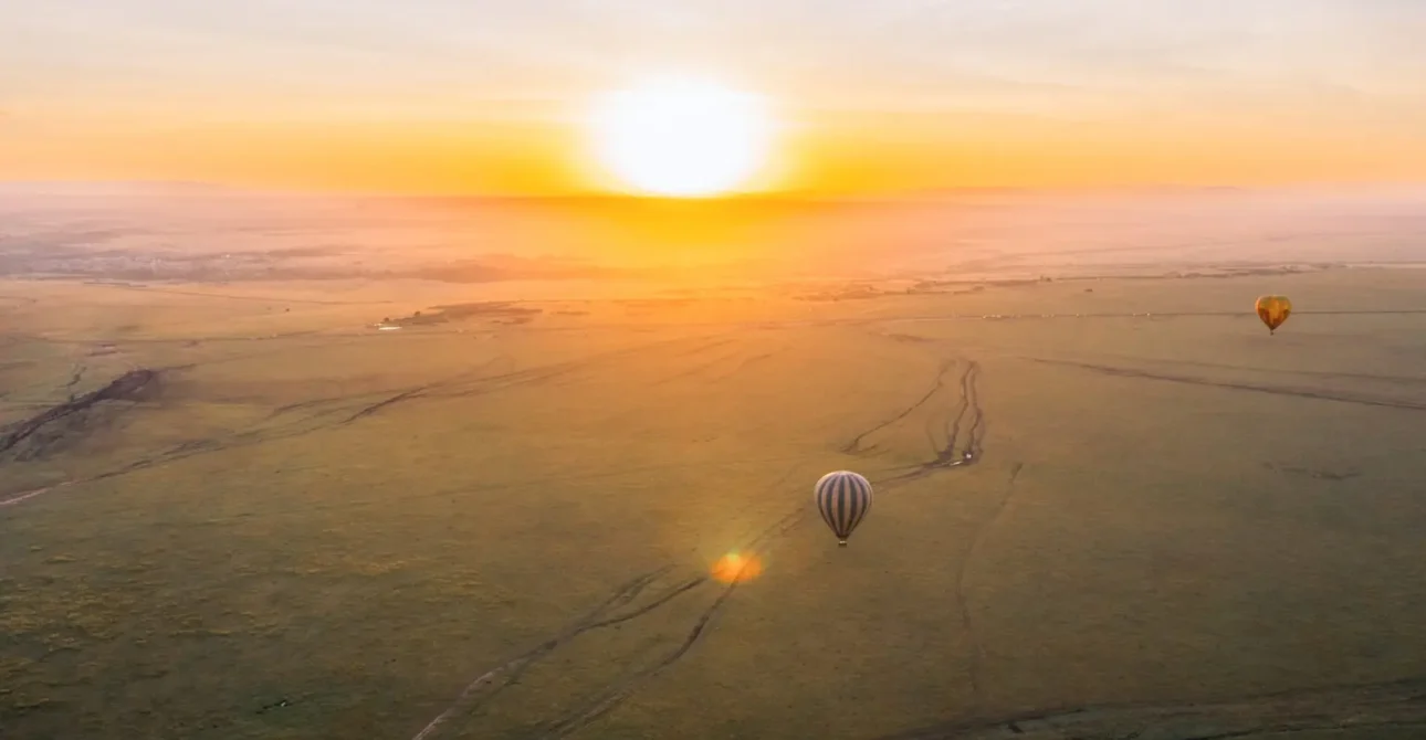 Best Time to Visit Serengeti