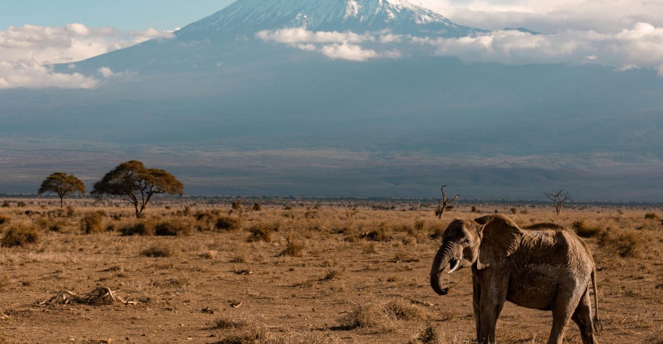KENYA NATIONAL PARKS AND RESERVES 1 KENYA NATIONAL PARKS AND RESERVES