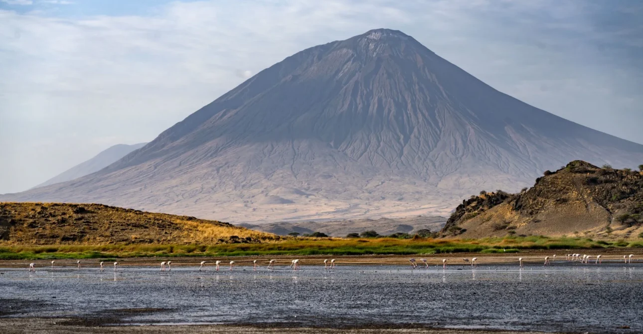 Tanzania Safari Cost Guide 