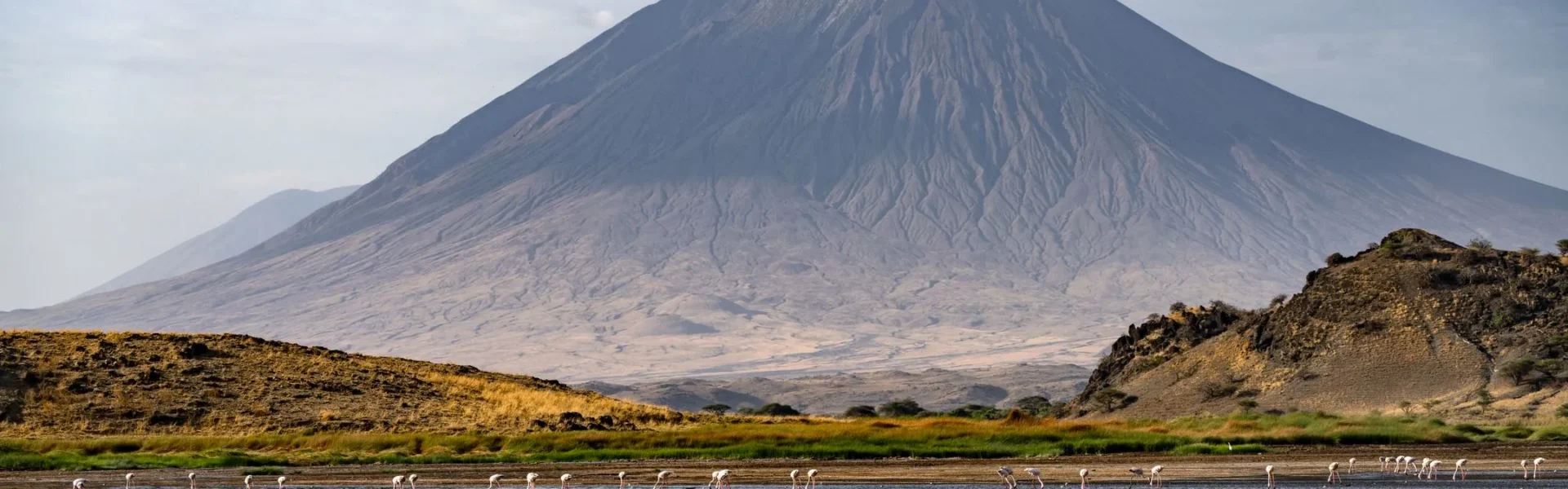 Tanzania Safari Cost Guide