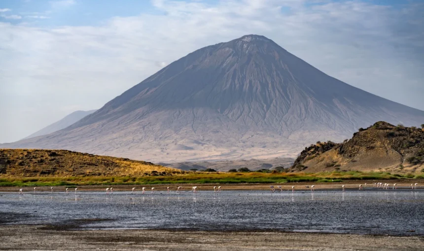 Tanzania Safari Cost Guide 4 Tanzania Safari Cost Guide