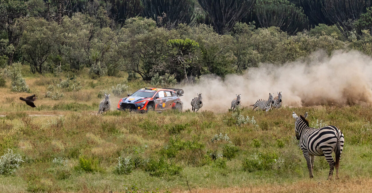 WRC Safari Rally Kenya: The Ultimate Motorsport Experience in Naivasha