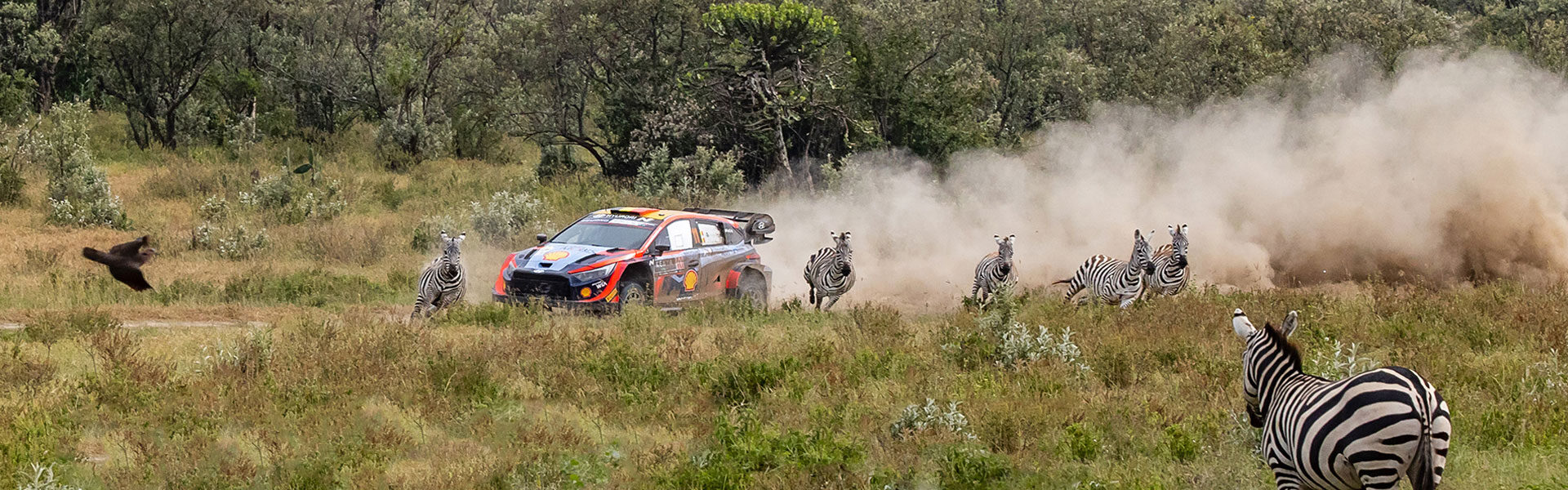 The WRC Safari Rally Kenya