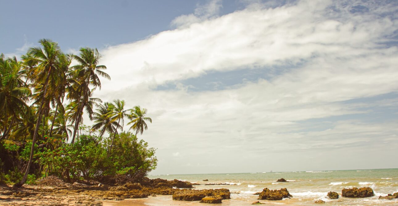 Kenya Safari Cost Guide