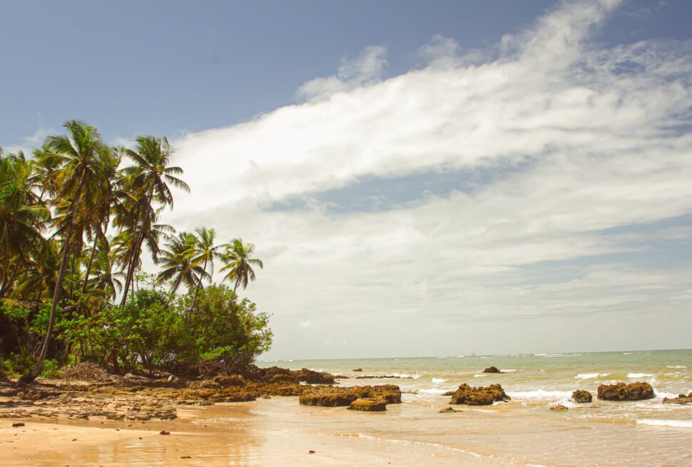 Kenya Safari Cost Guide