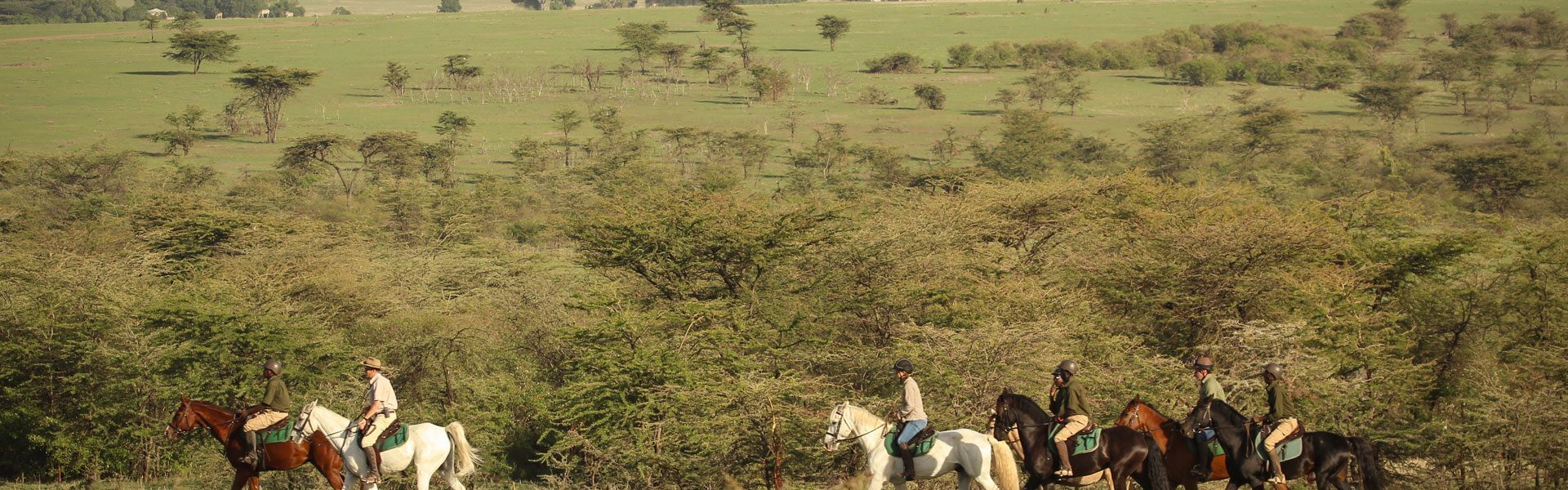Chyulu National Park 1 Chyulu Hills National Park – Green Hills, Lava Tubes & Kilimanjaro Views in Kenya
