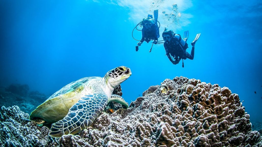 Best time for Diving in Kenya