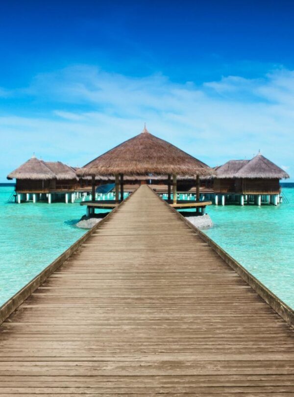 Honeymoon Safaris & Beach Escapes, Luxury Romantic Travel Across Africa & the Indian Ocean