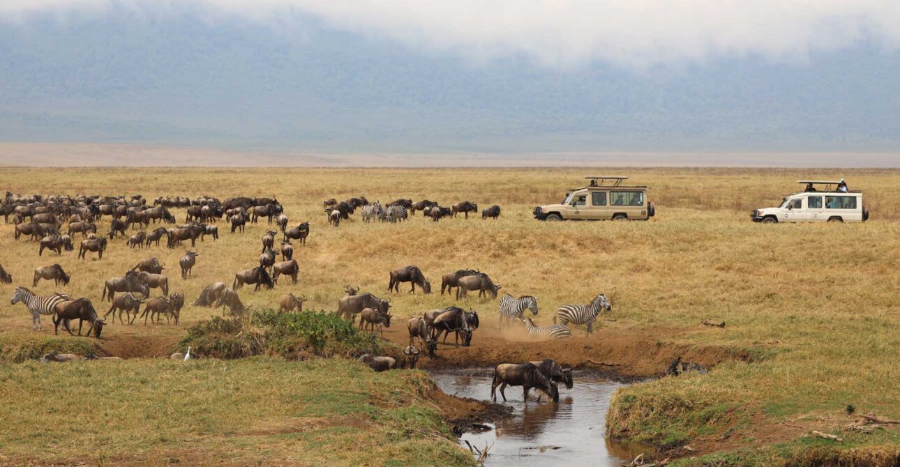 Maasai Mara National Reserve
