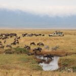 Maasai Mara National Reserve 2 Maasai Mara National Reserve