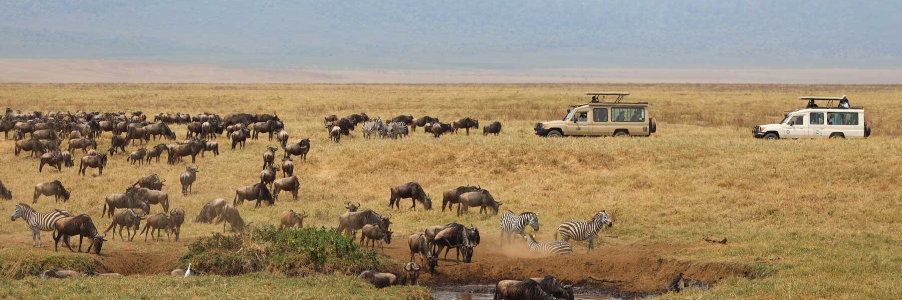 Maasai Mara National Reserve