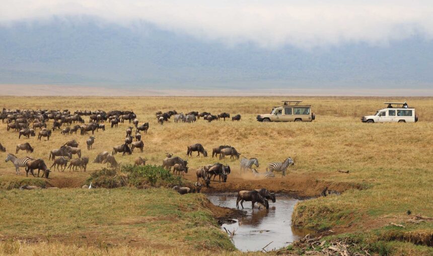 Maasai Mara National Reserve 4 Maasai Mara National Reserve