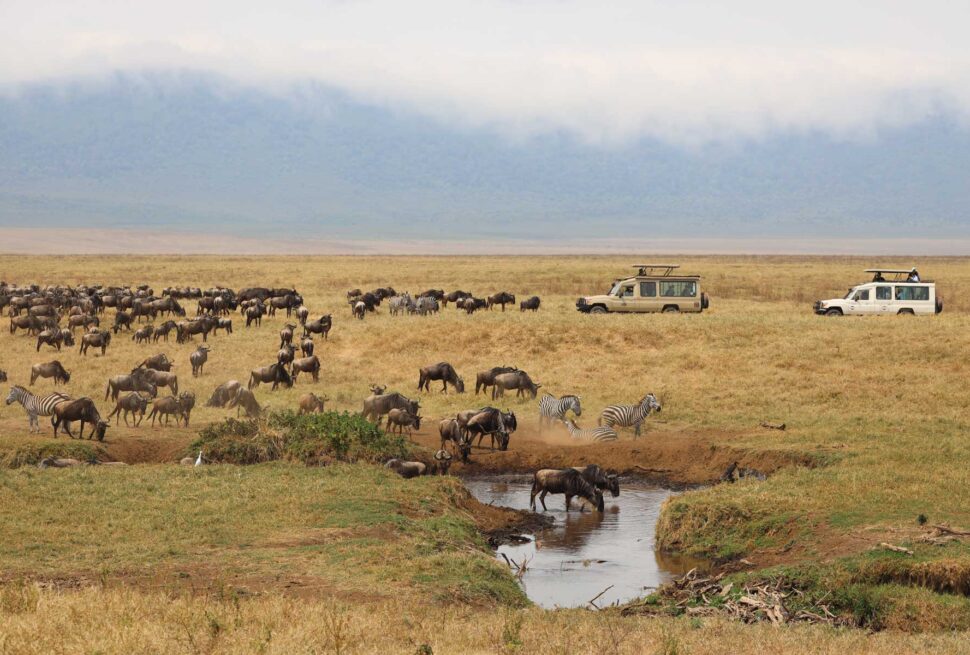Maasai Mara National Reserve