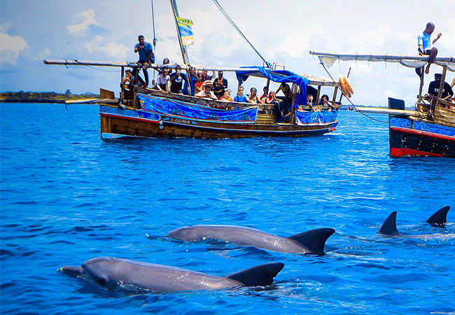 KISITE MPUNGUTI MARINE PARK and RESERVE