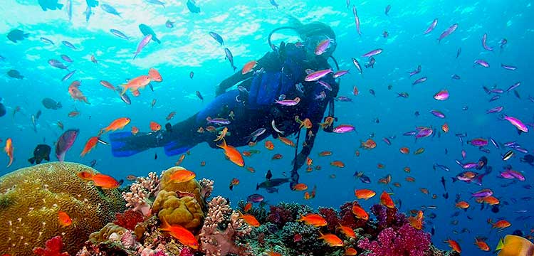 Kenyan Mombasa Beach Vibes