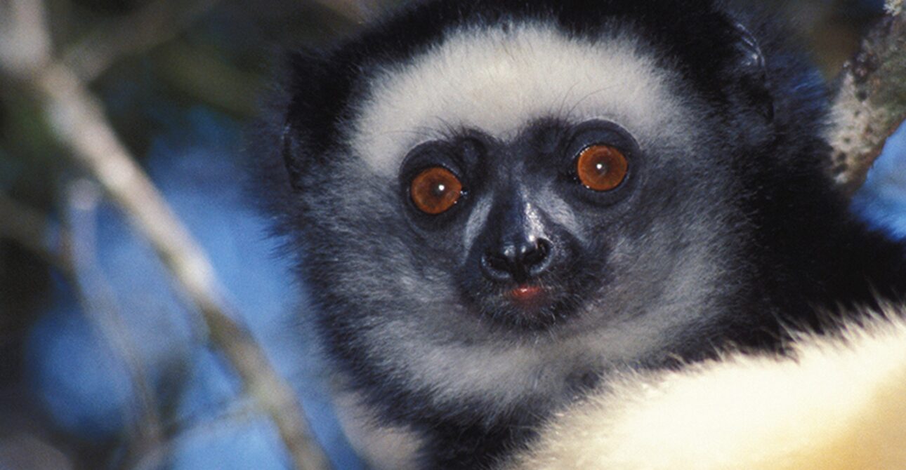 Madagascar Destination Overview