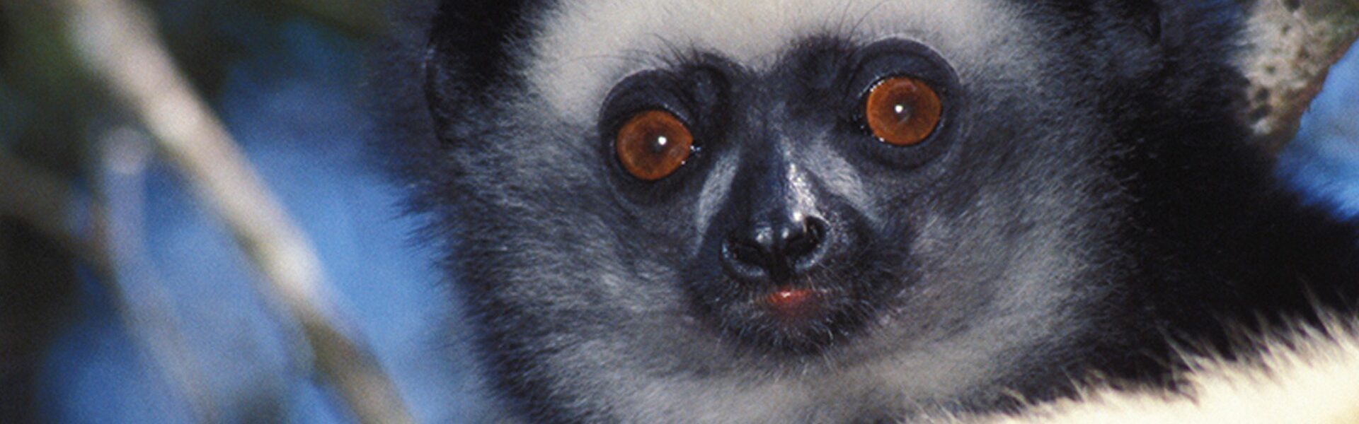 Madagascar Destination Overview