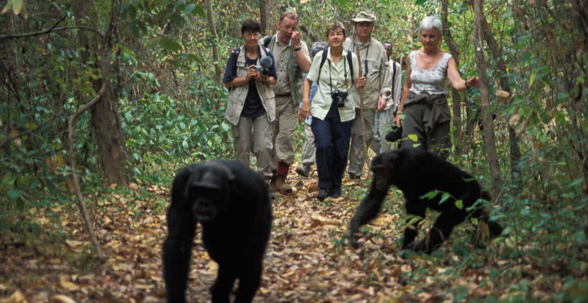 Rwanda Destination Overview