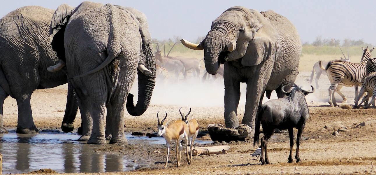 Namibia Destination Overview