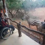 Tanzania Safari Cost 2026: Full Price Breakdown (Budget to Luxury Guide)