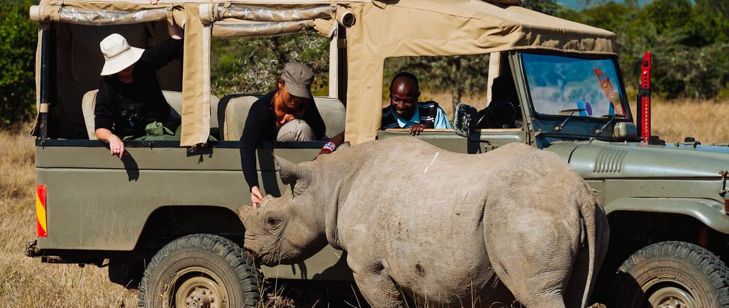 BEST HONEYMOON SAFARI 1 BEST HONEYMOON SAFARI