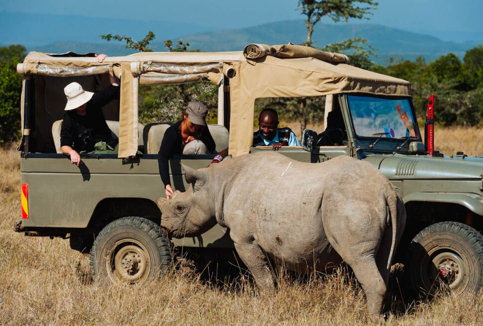 BEST HONEYMOON SAFARI