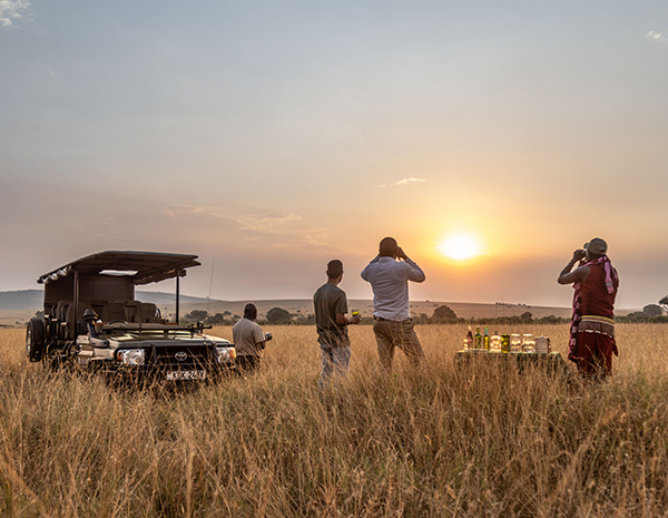 Is an African Safari Worth It? (Honest Guide for First-Time Travelers)