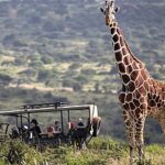 Tanzania vs Kenya Safari: Which is Better for Your Trip?
