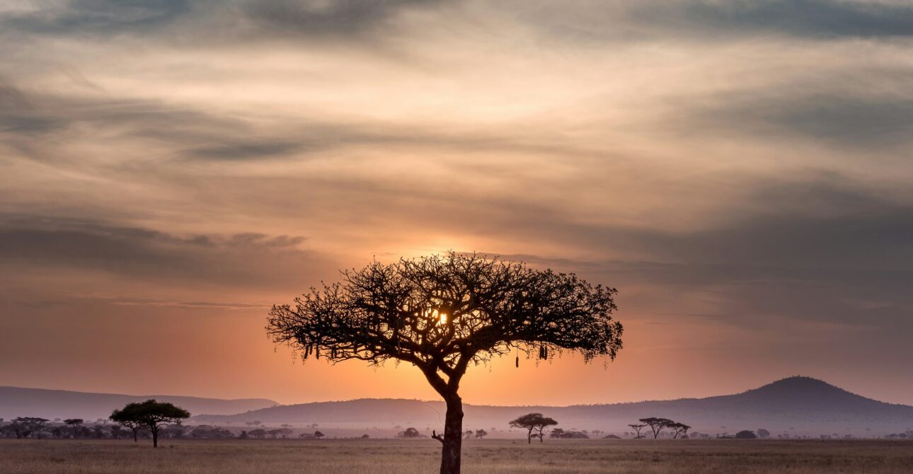 SOUTH AFRICA SAFARI