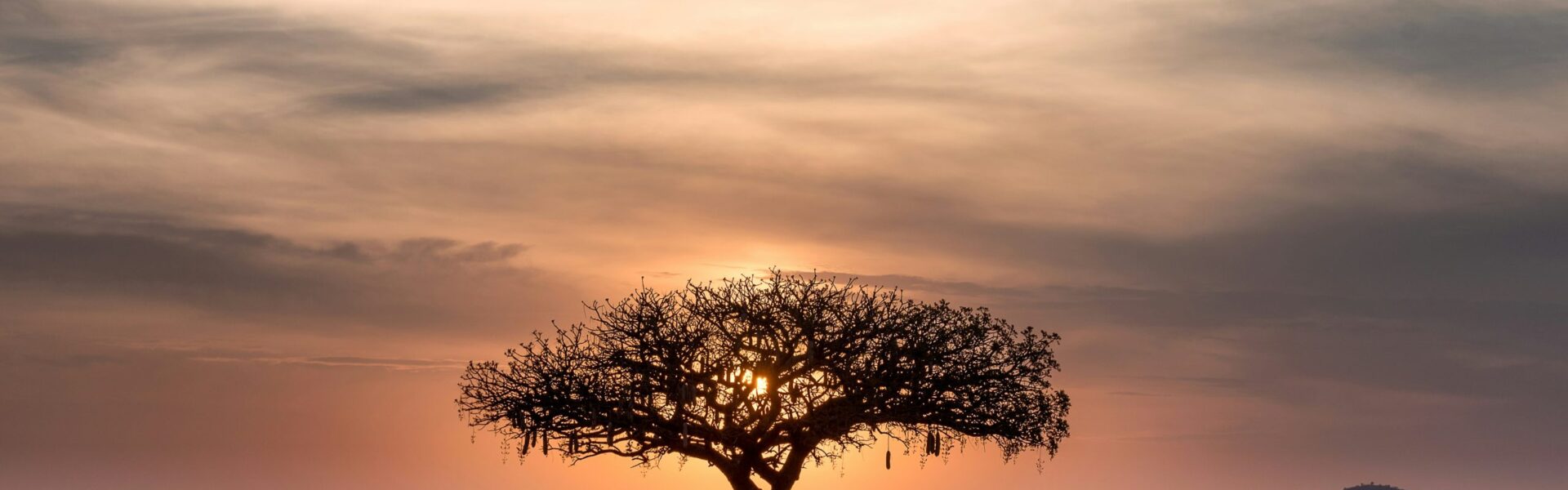 SOUTH AFRICA SAFARI