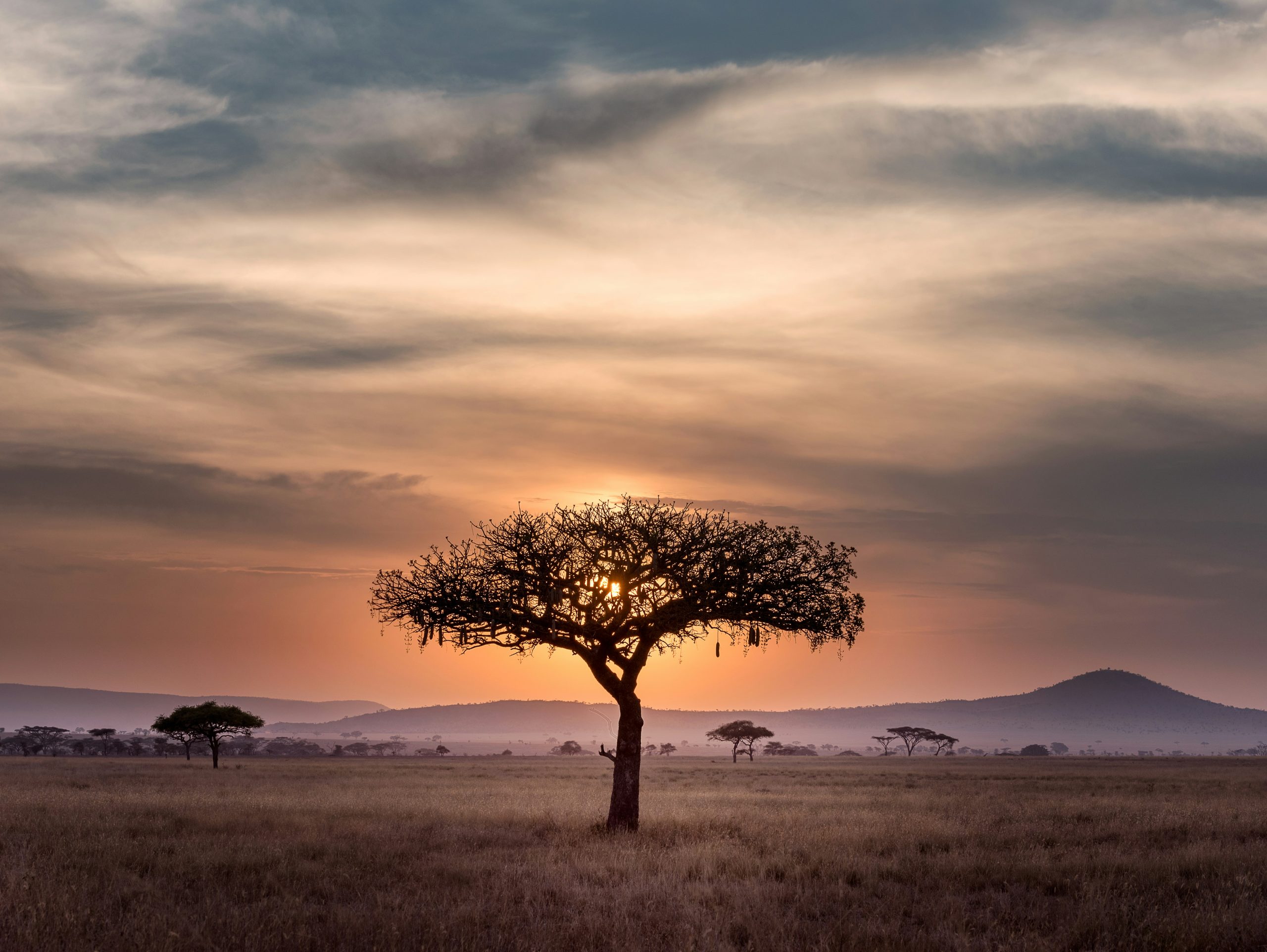 SOUTH AFRICA SAFARI