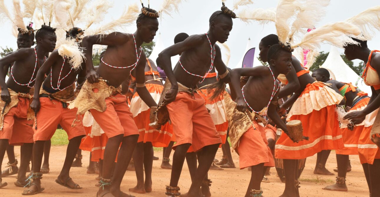 Is Tanzania or Kenya Safari Better for First-Time Travelers?