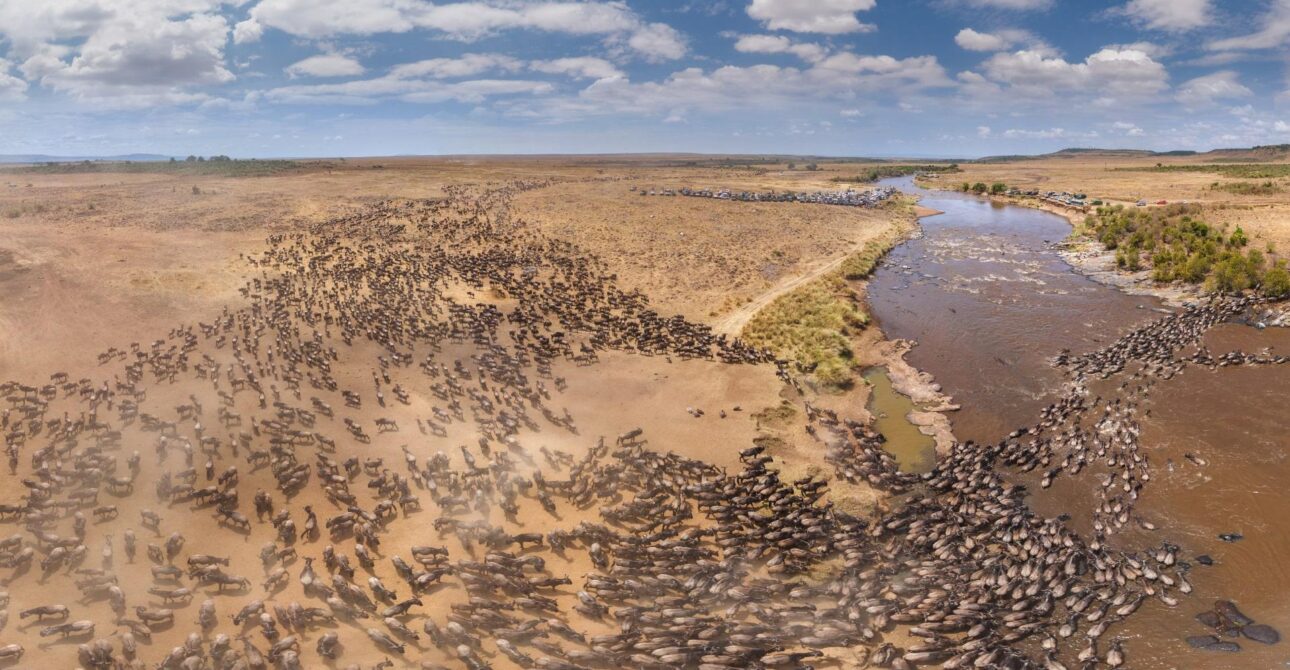 Which Conservancy is Best for Each Month on Kenya Safari?