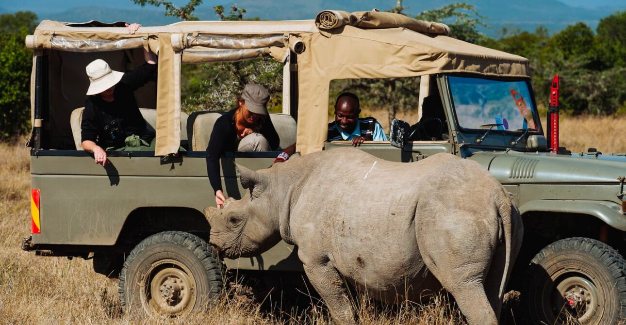 Group Safari or Private Safari? How to Choose the Best Option for Your Tanzania or Kenya Adventure 3 Group Safari or Private Safari? How to Choose the Best Option for Your Tanzania or Kenya Adventure