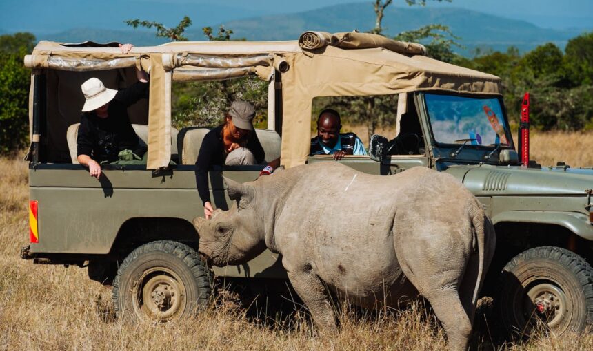 Group Safari or Private Safari? How to Choose the Best Option for Your Tanzania or Kenya Adventure 2 Group Safari or Private Safari? How to Choose the Best Option for Your Tanzania or Kenya Adventure