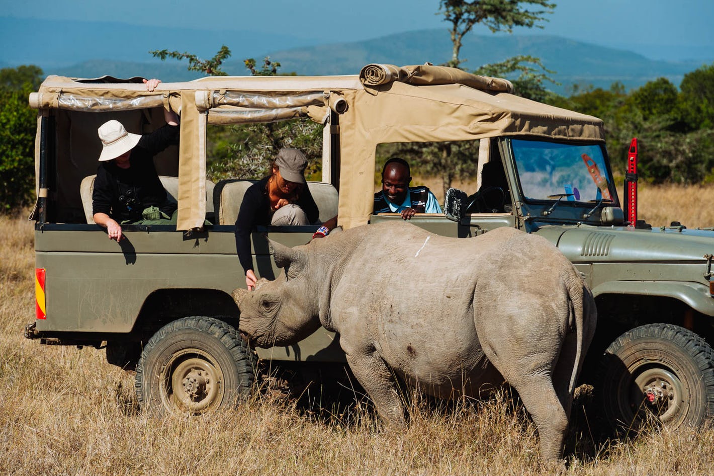 Group Safari vs Private Safari in Tanzania
