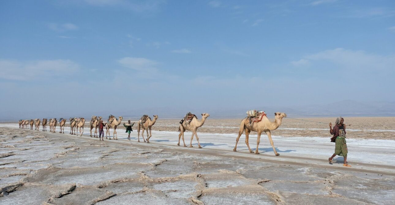 Ethiopia FAQs: 50 Questions Answered by Local Experts
