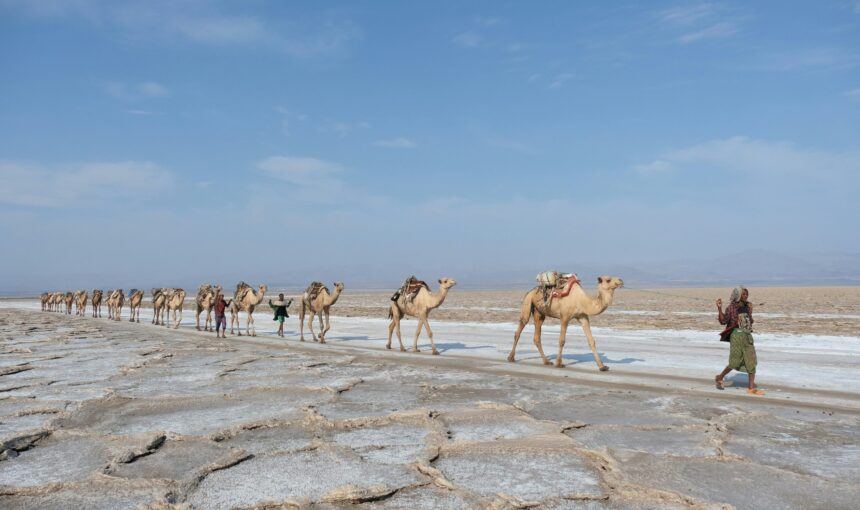Ethiopia FAQs: 50 Questions Answered by Local Experts