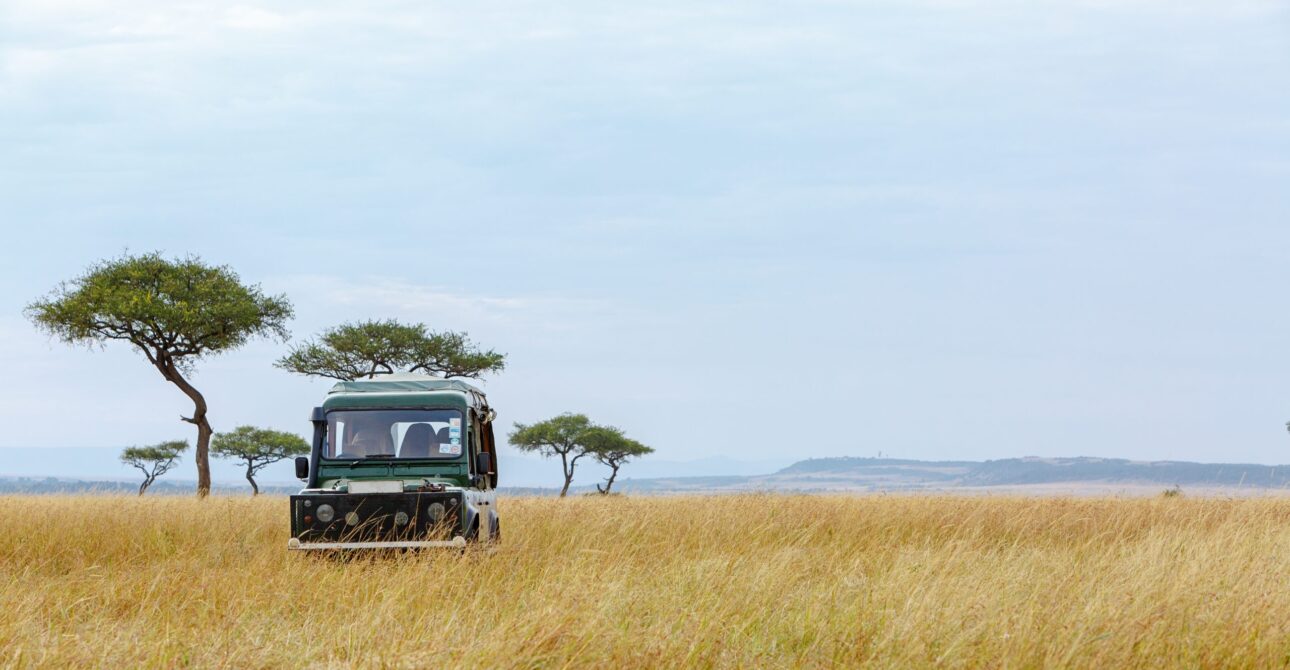 Luxury Kenya Safari (2026) – The Ultimate Guide to Luxury Safari Travel in Kenya 4 Luxury Kenya Safari (2026) – The Ultimate Guide to Luxury Safari Travel in Kenya