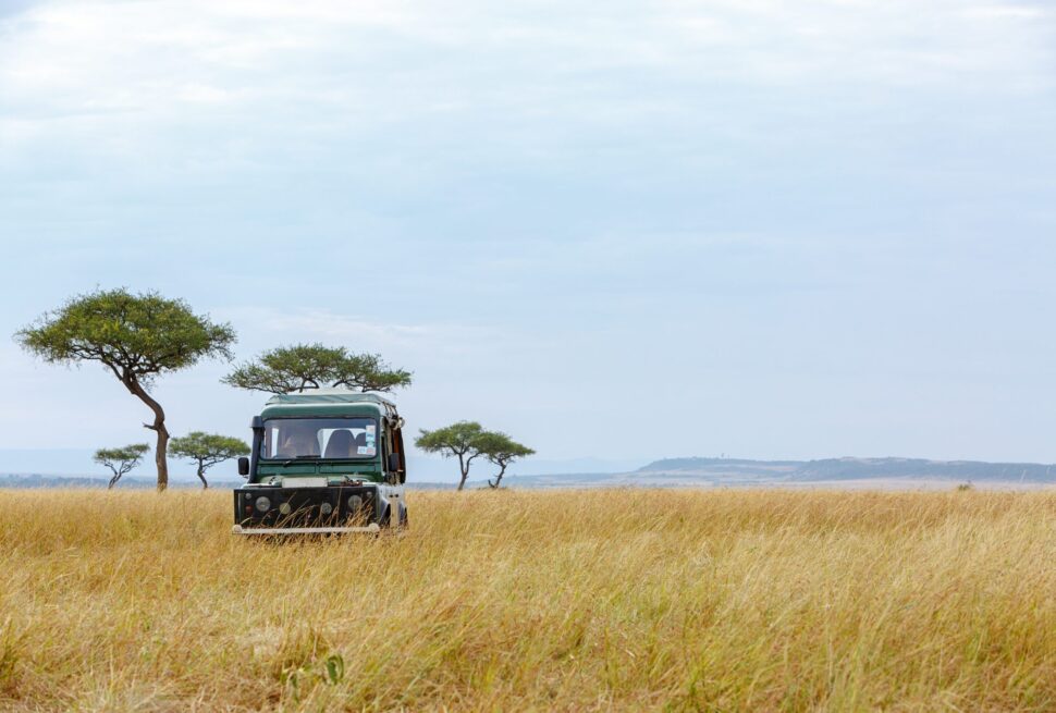 Luxury Kenya Safari (2026) – The Ultimate Guide to Luxury Safari Travel in Kenya