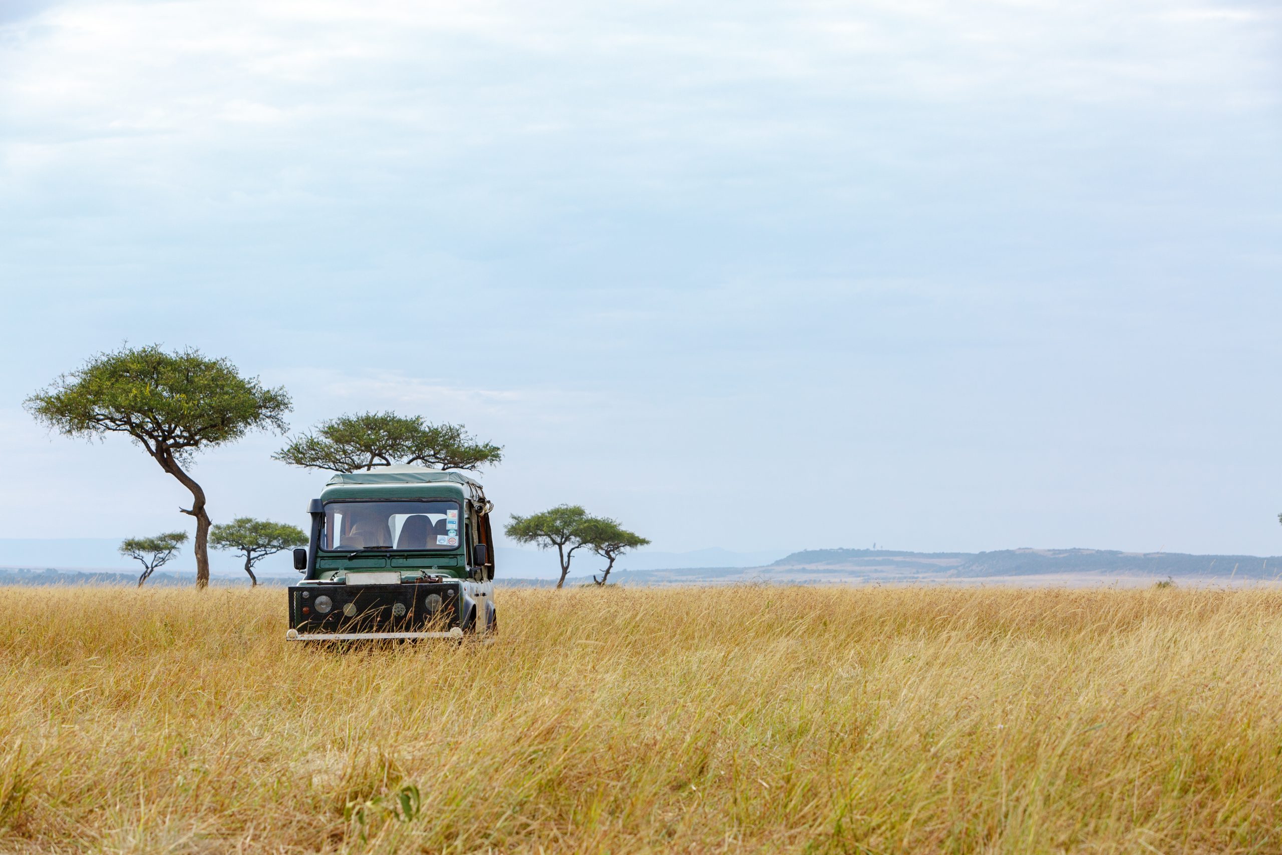 Luxury Kenya Safari (2026) – The Ultimate Guide to Luxury Safari Travel in Kenya