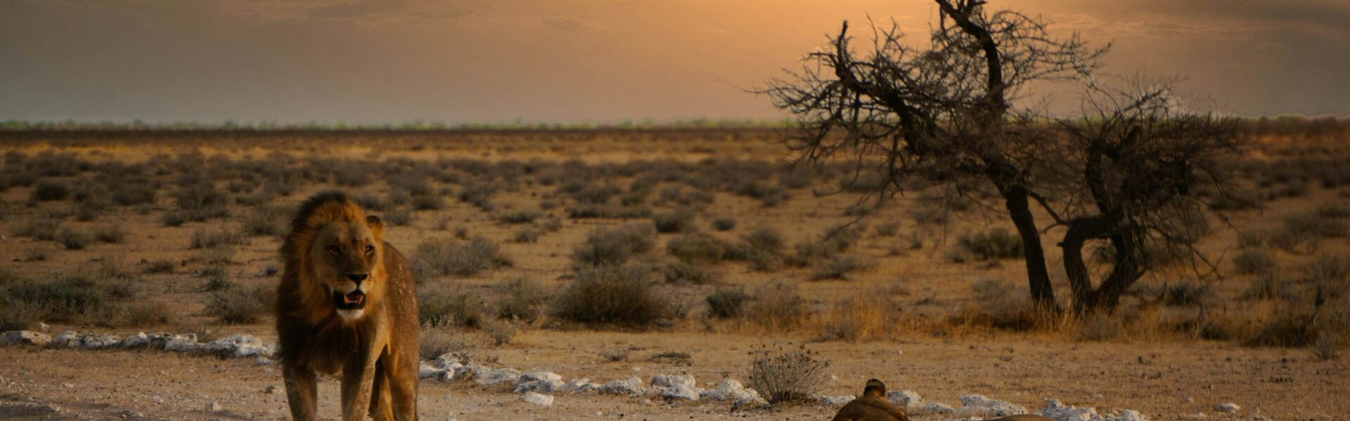 Namibia FAQs