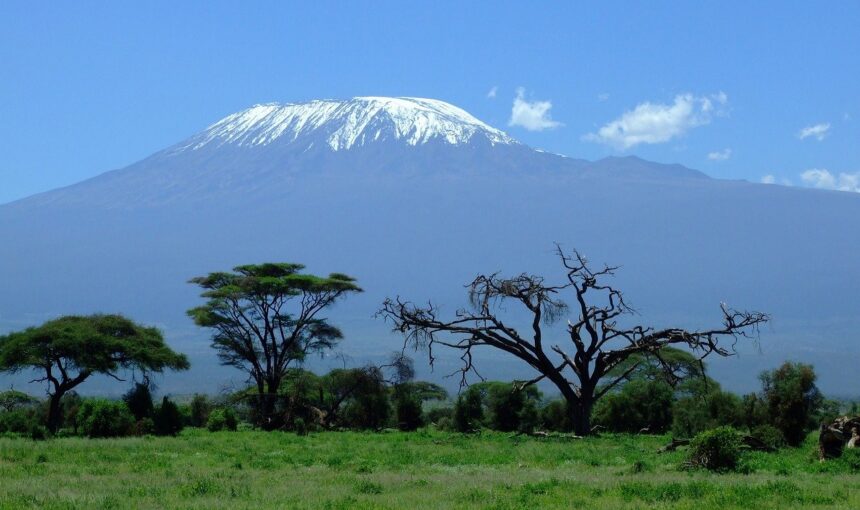 Nature Bound Africa Kilimanjaro 3 Nature Bound Africa Kilimanjaro